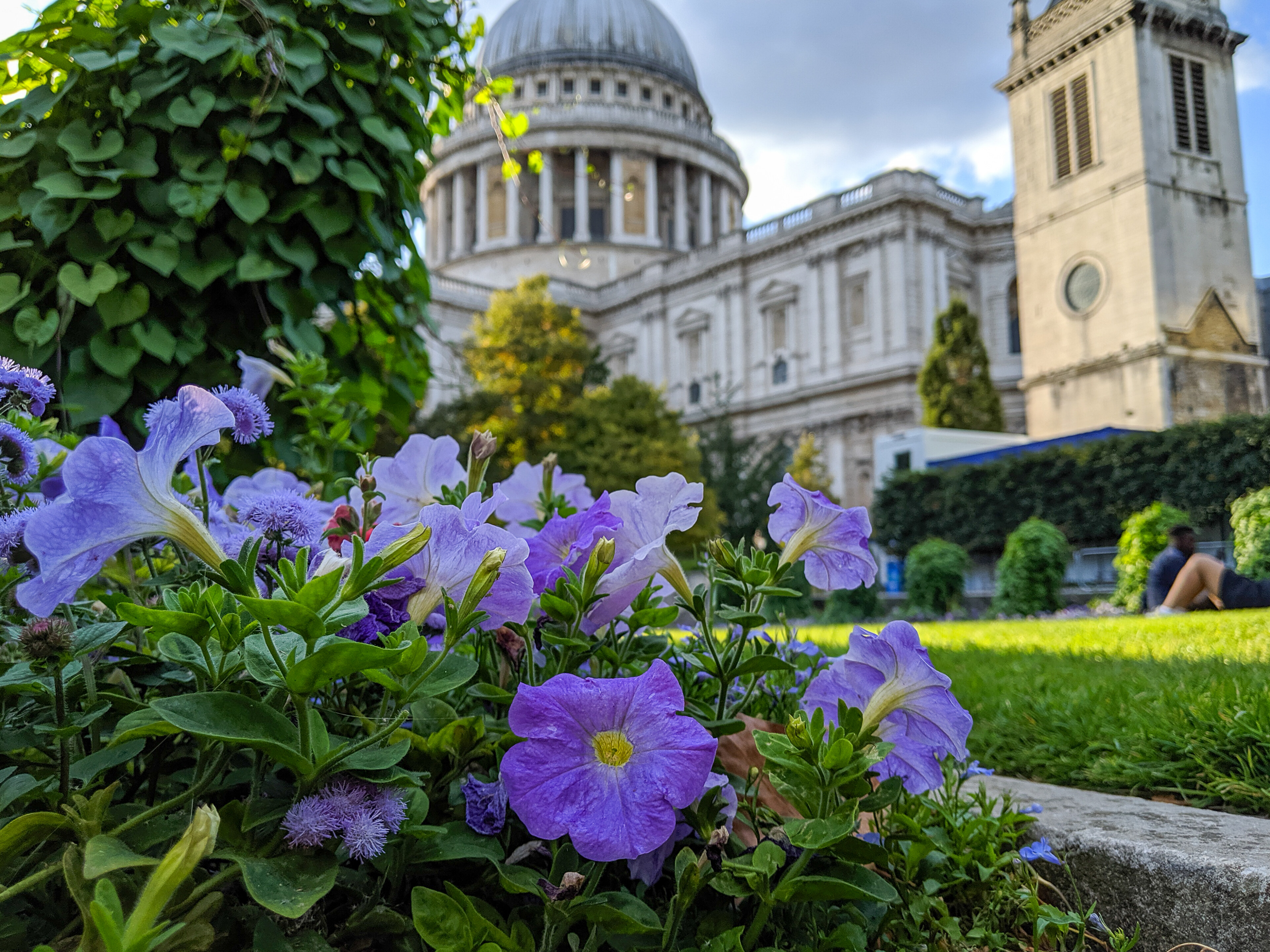 MVIMG_20190908_180828